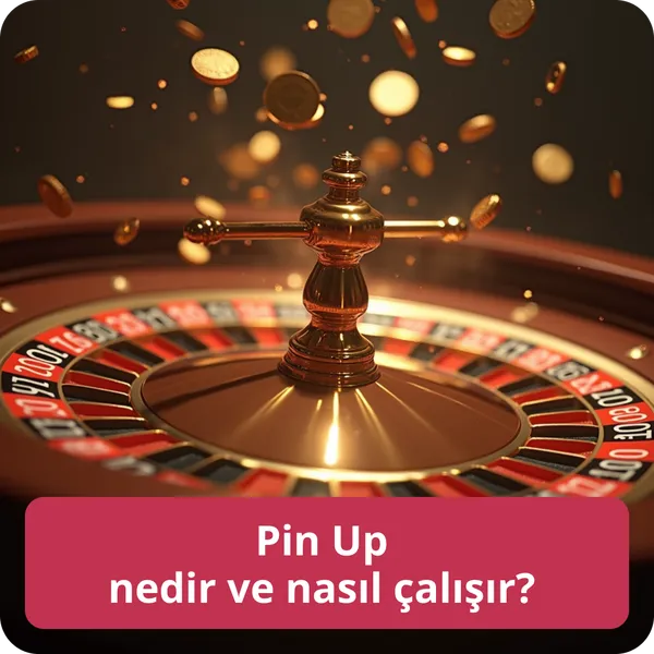 Pin Up nedir ve nasıl çalışır?